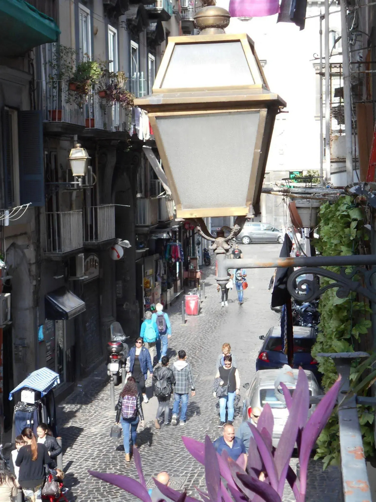 Robbys House Bed & Breakfast