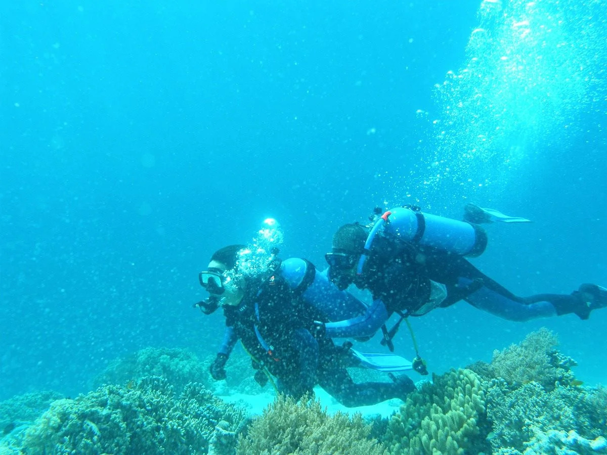 The Menjangan by LifestyleRetreats