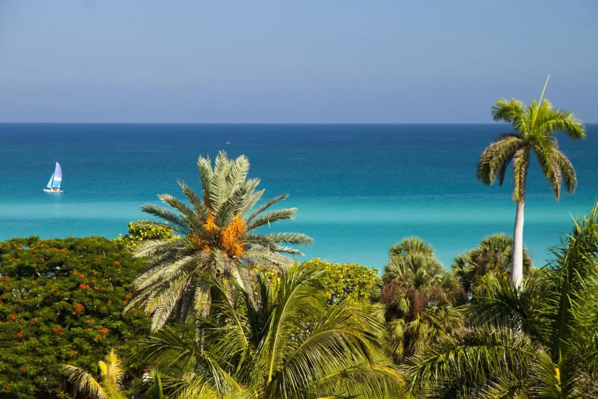 Occidental Arenas Blancas