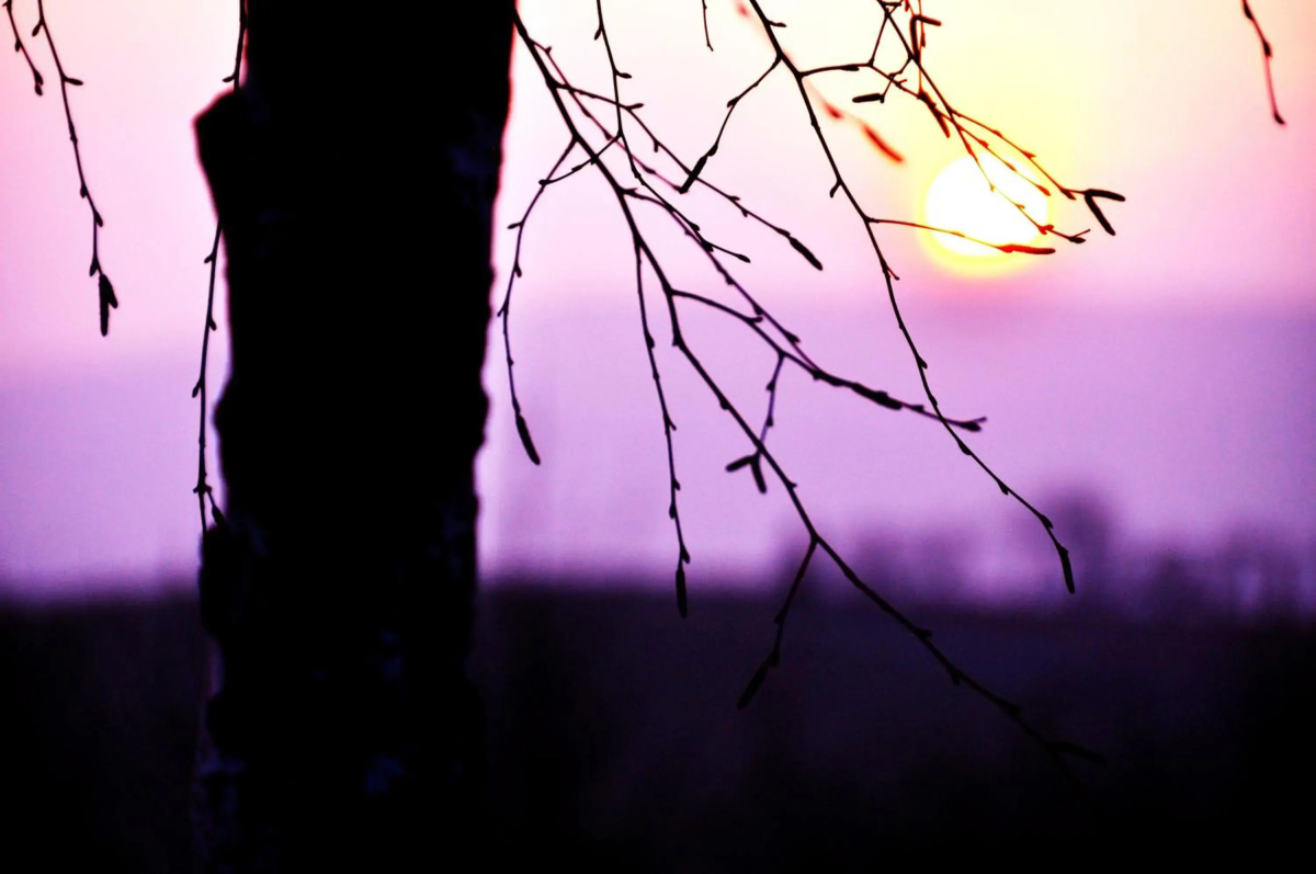 Flair Hotel Waldfrieden