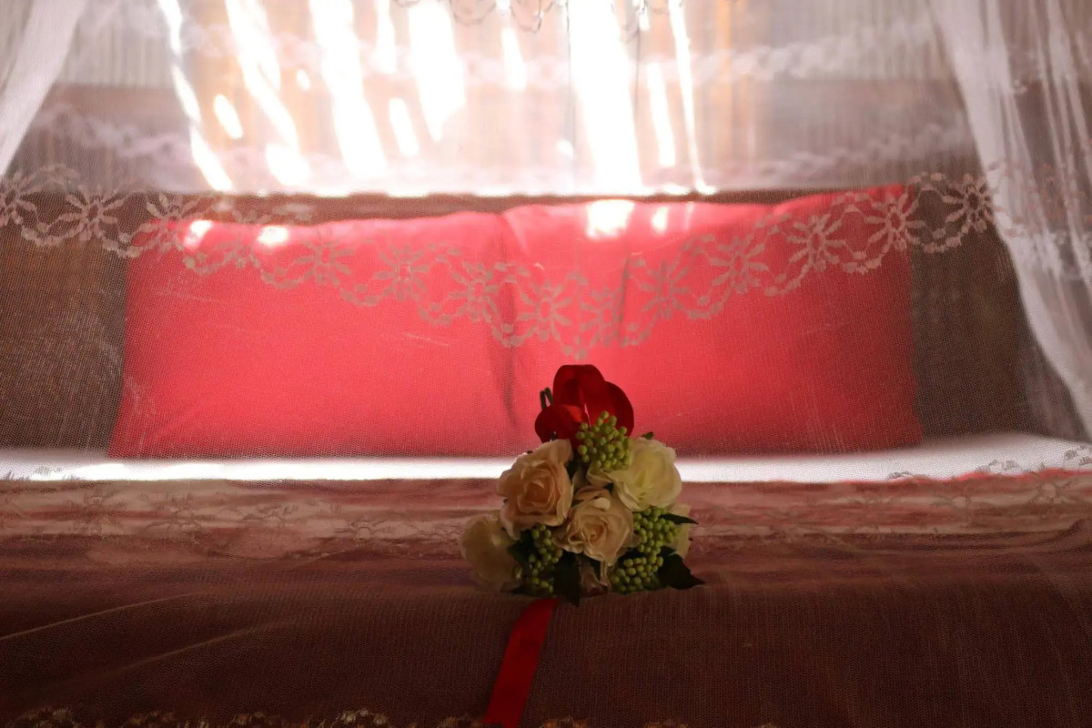 Under the coconut tree - Hostel