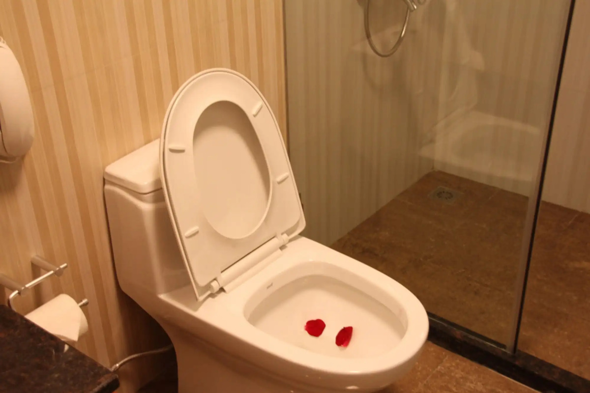 Hangzhou Bokai Westlake Hotel