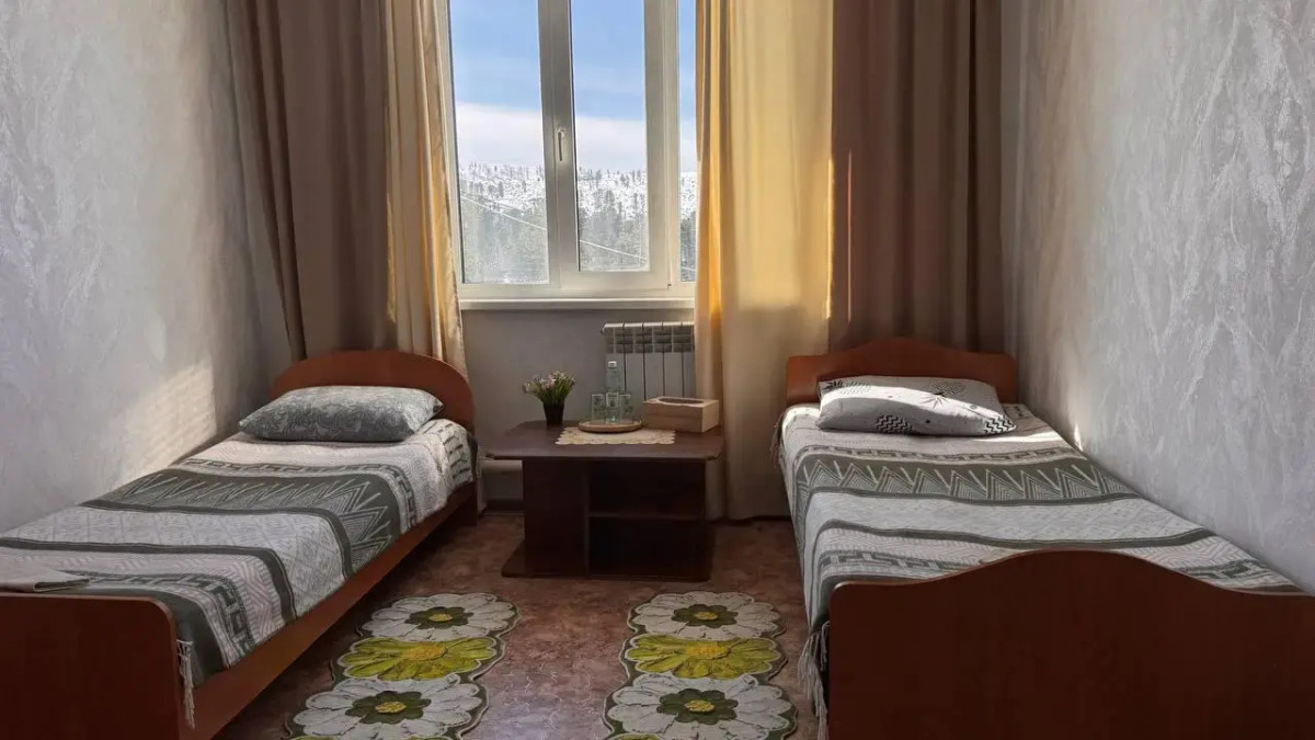 Кедр Золотой