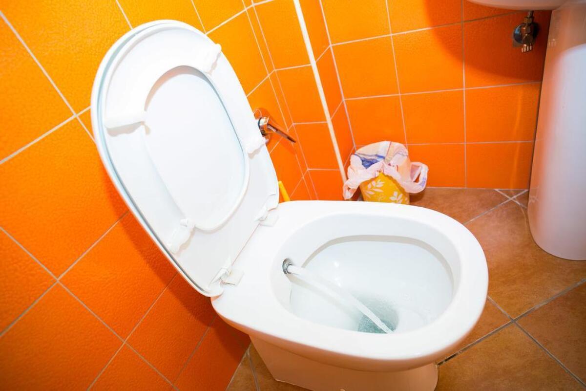 Agriturismo L.B.Stud