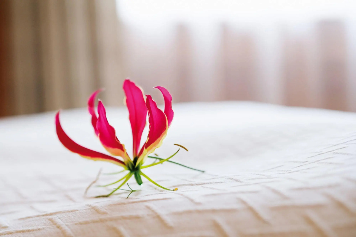 Отель Mövenpick Hotel & Residences Nairobi