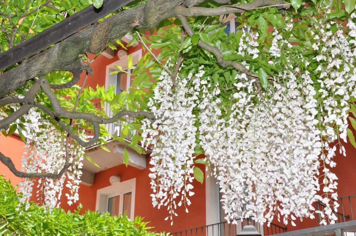 Cavour 30TRE - Hotel Moderno