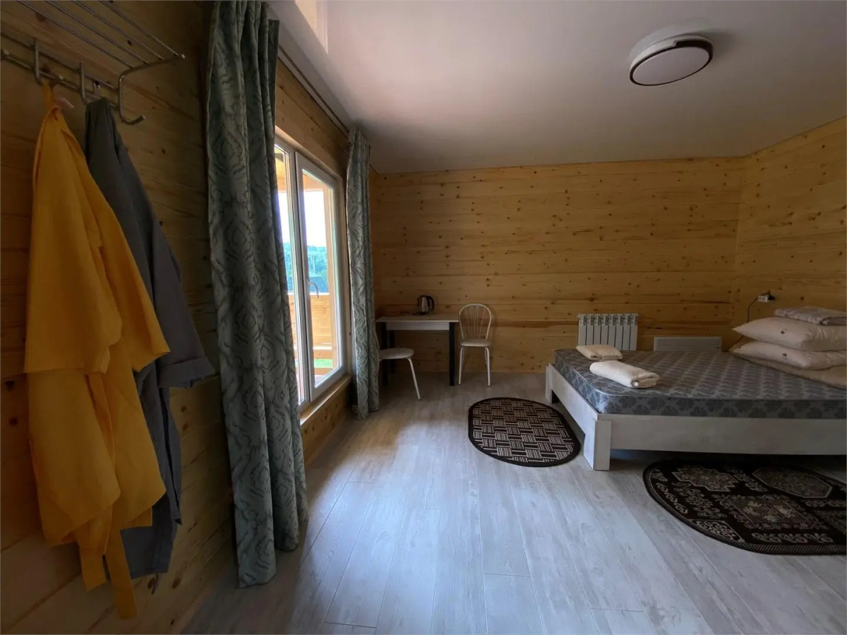 Кедр Золотой