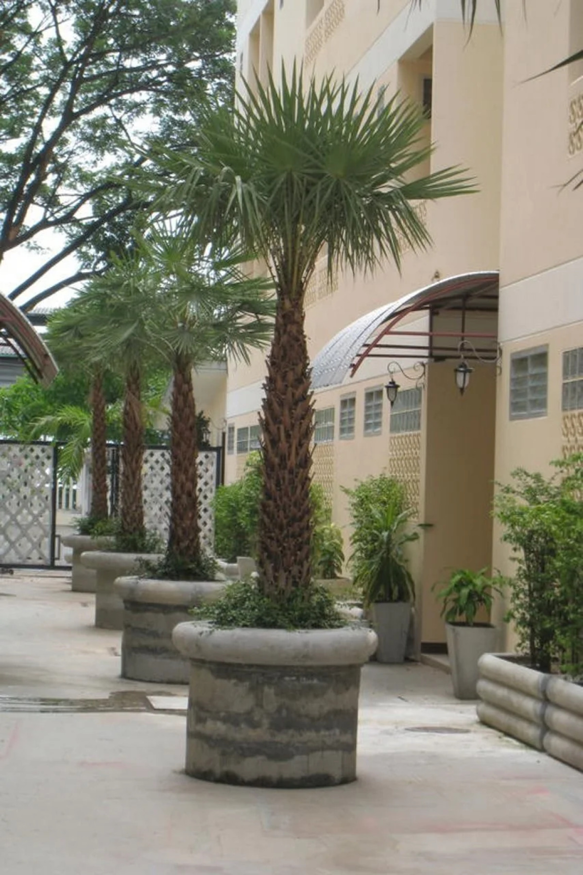 Rafael Mansion Bangkok Aiport