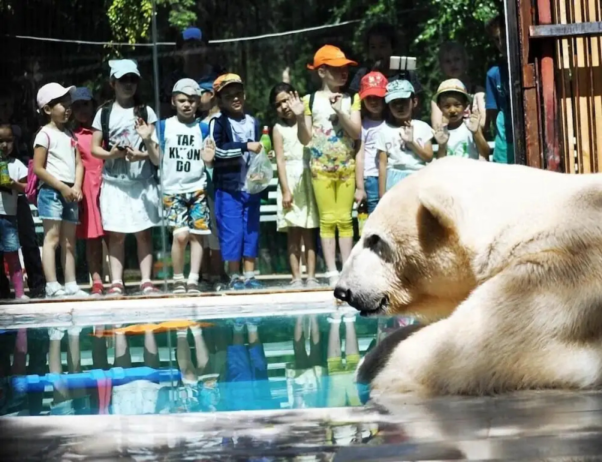 World Travelers Hostel