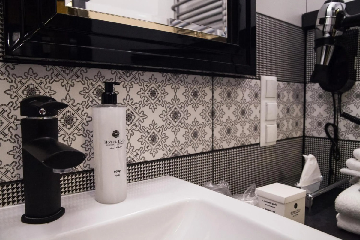 Hotel Dana Business & Conference