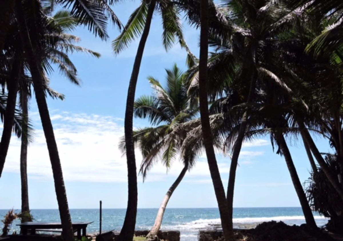 Curry Bowl Restaurant & Turtles Rest