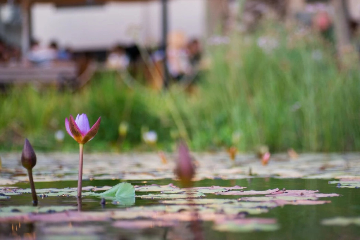 Hotel Rothschild 22 Tel Aviv