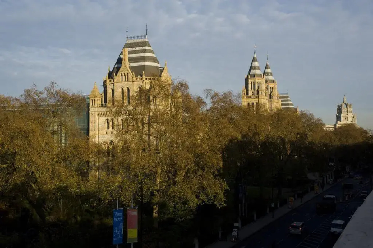 Eden Plaza Kensington