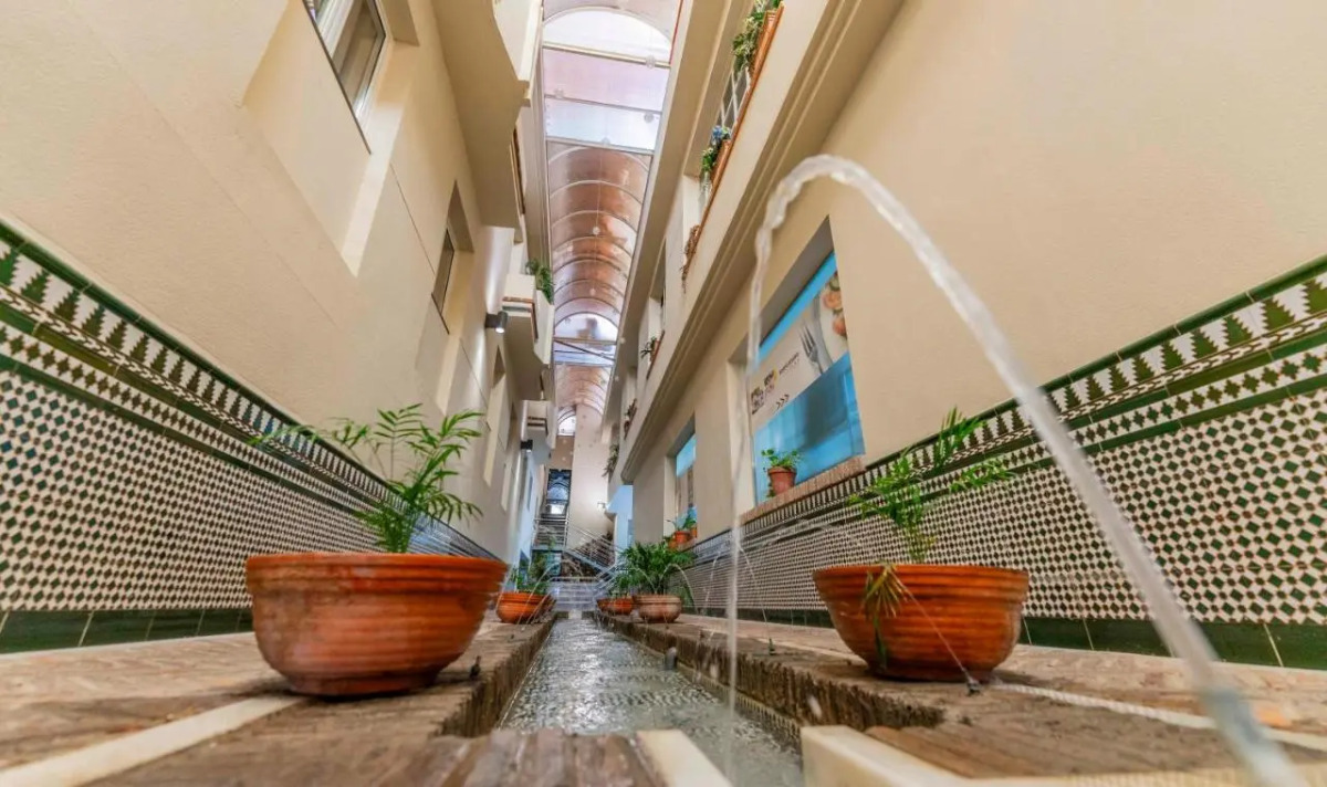 Checkin Camino de Granada