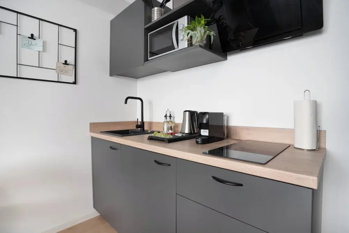 Central Bonn Apartments I home2share