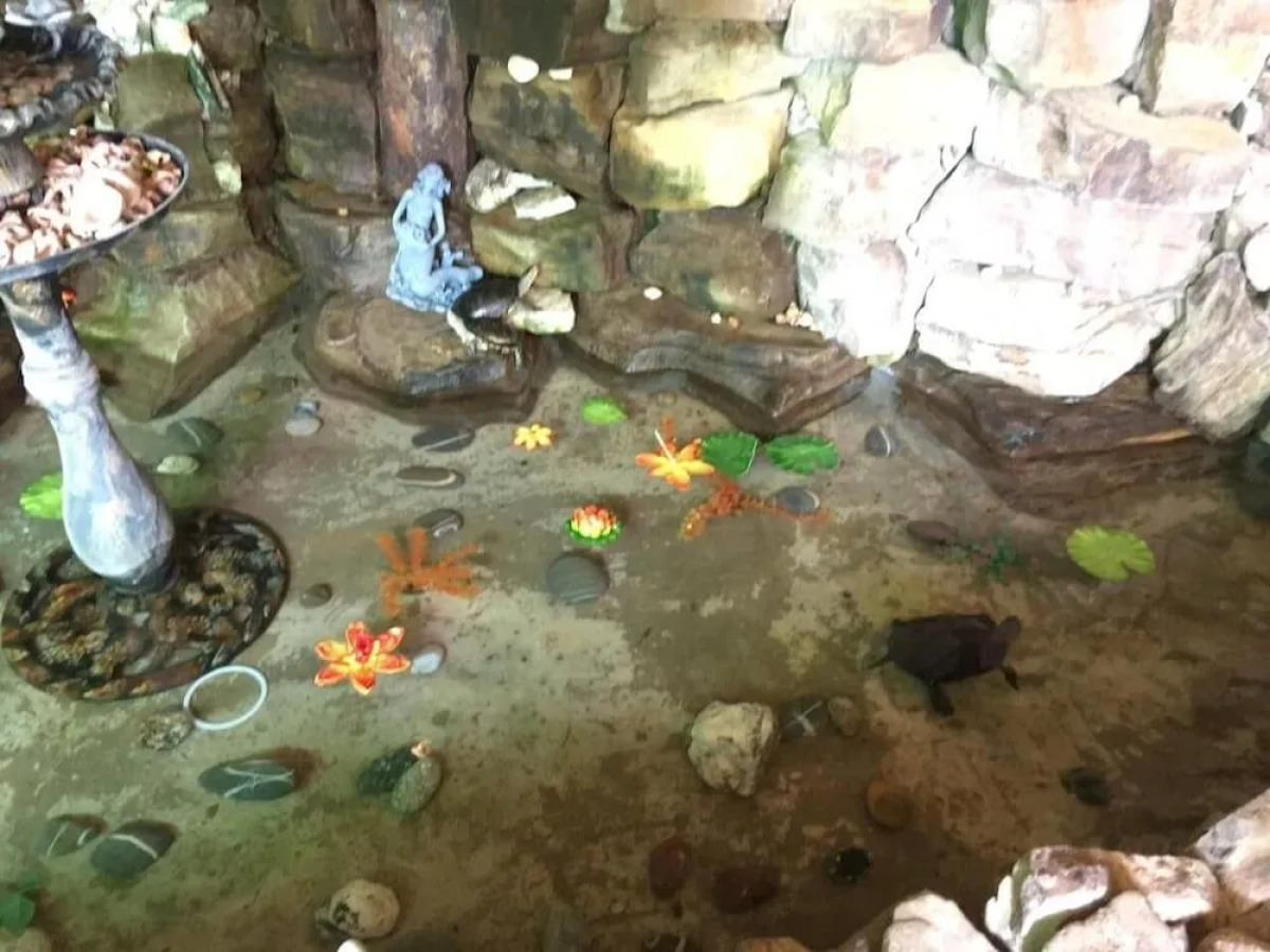 Гостевой Дом Простор