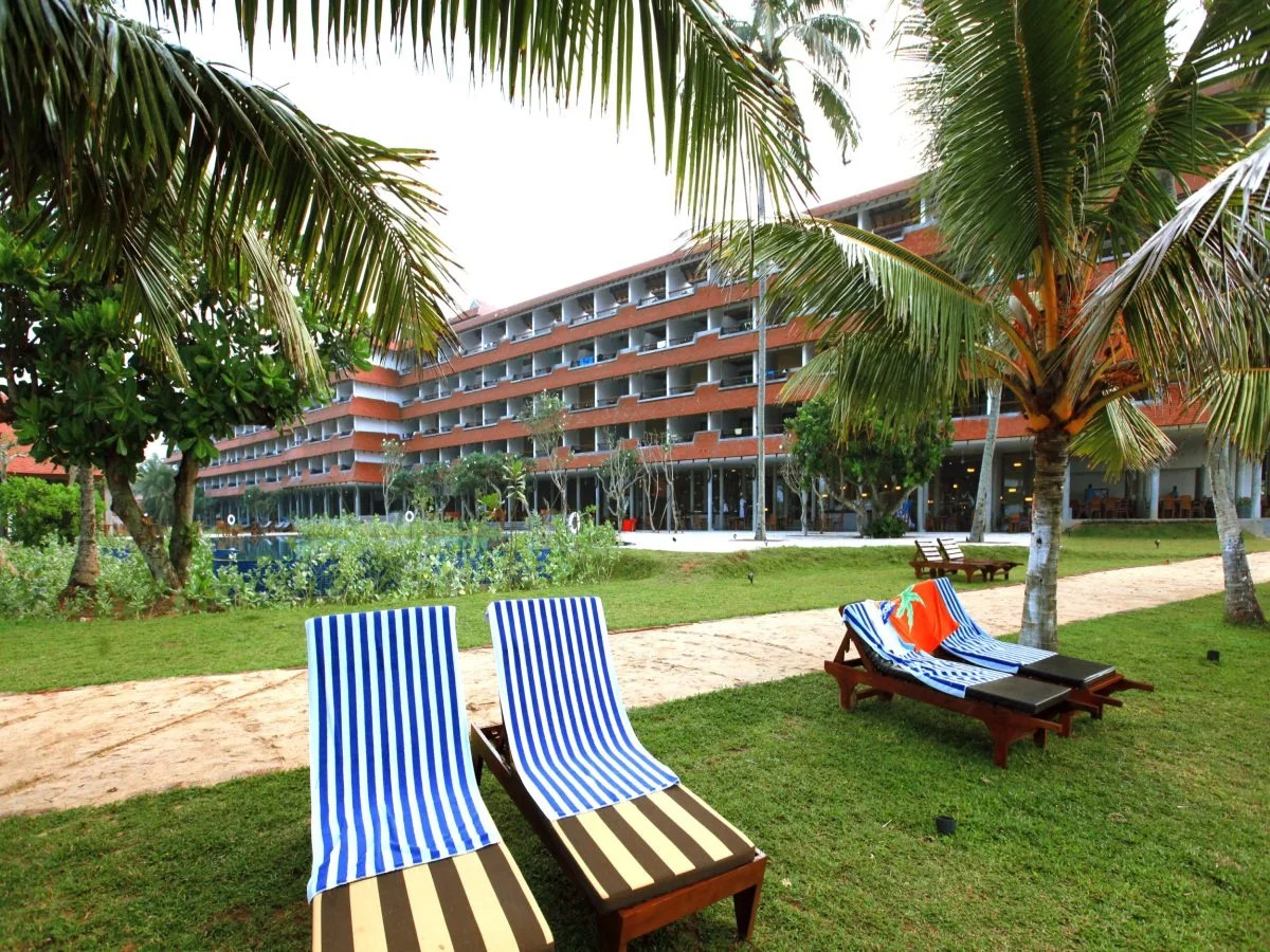 Hikka Tranz by Cinnamon