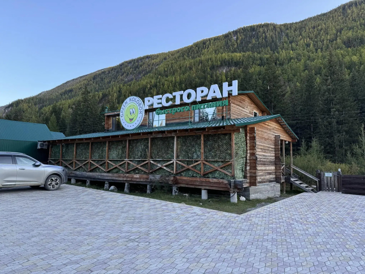 Зелёный колобок