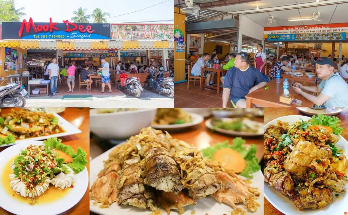 1715 House - White Rhino