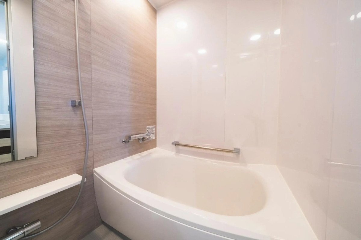 Rembrandt Style Naha