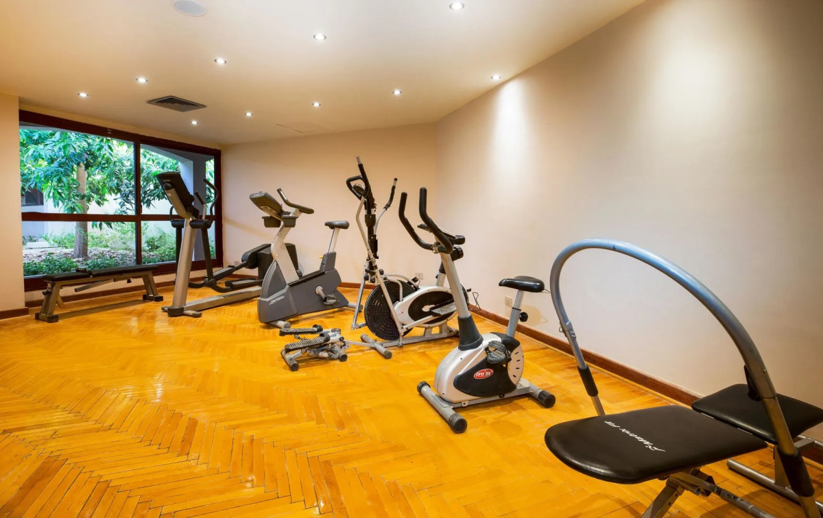 Pyramisa Island Hotel Aswan