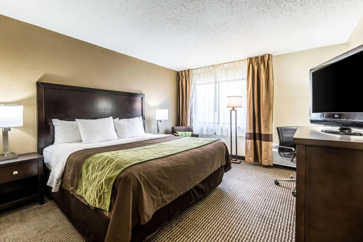 Comfort Inn Detroit Downtown