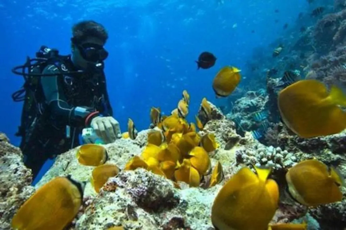 Paje Beach Apartments & Hotel