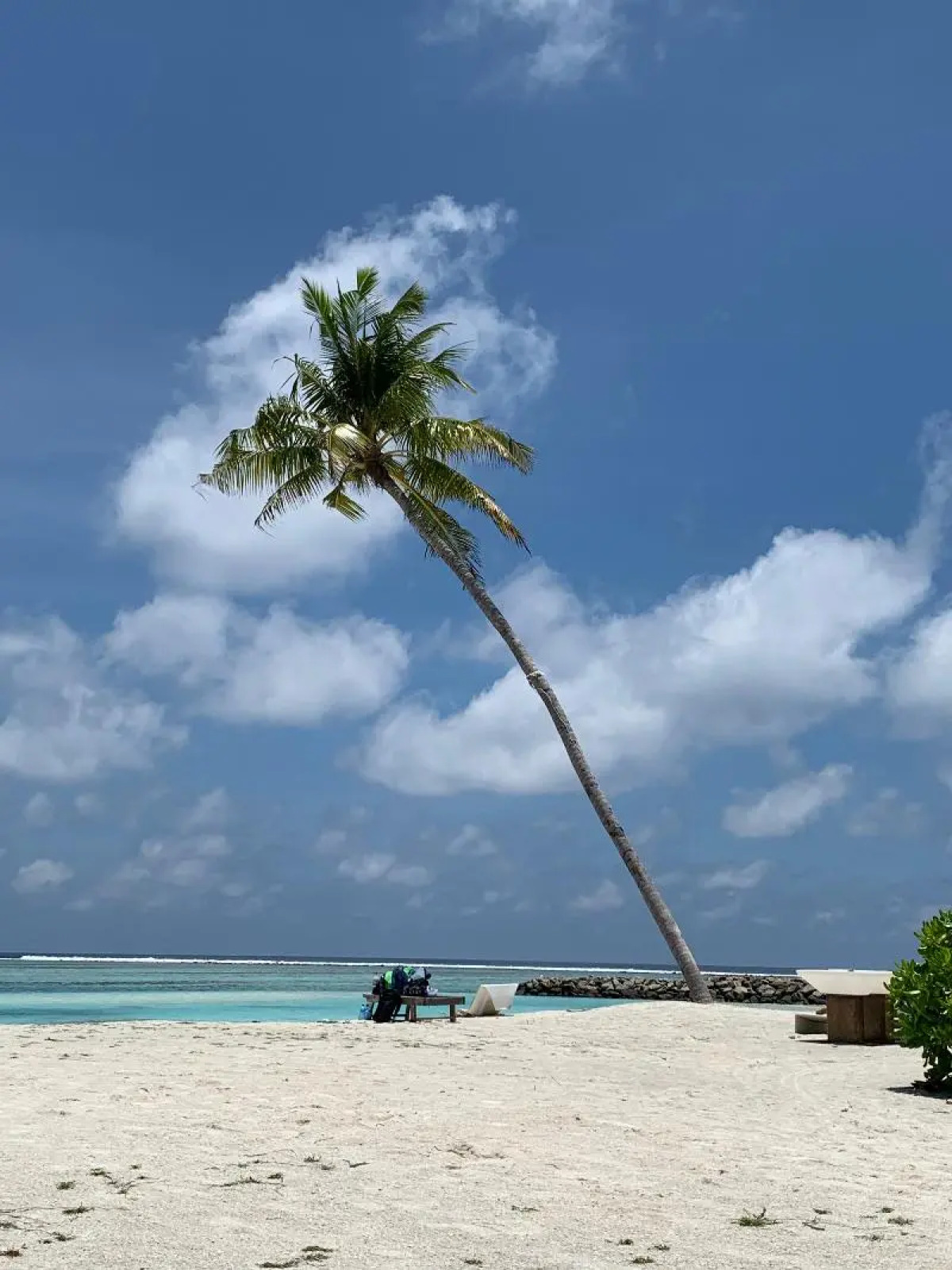 Гостевой дом Courtyard