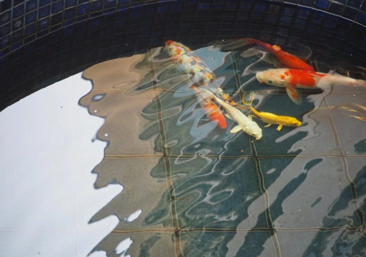 Samed Seaside Resort