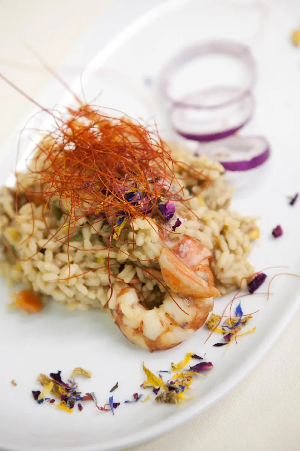 Hotel Villa Undulna - Terme della Versilia