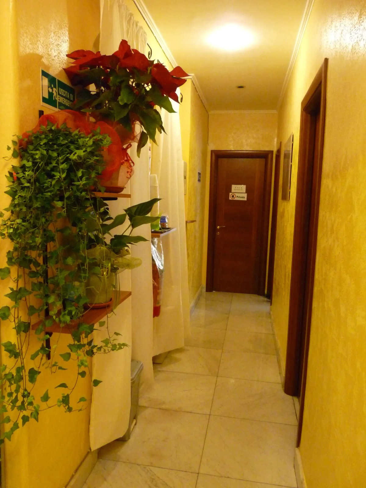 Daplace - Arena House