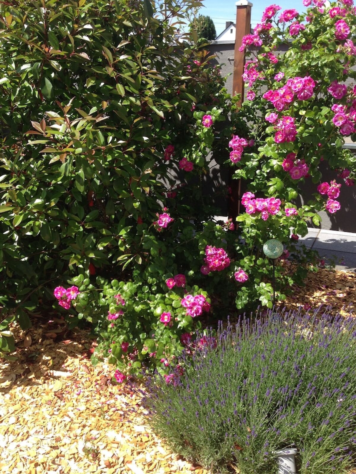 WohnRaum Hotel & Gästehaus