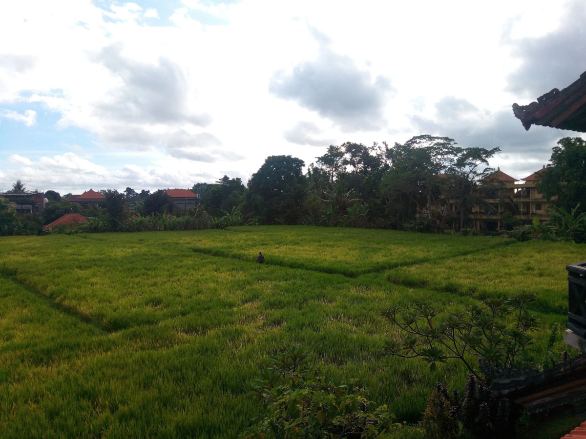 Kun - Kun Guest House Ubud