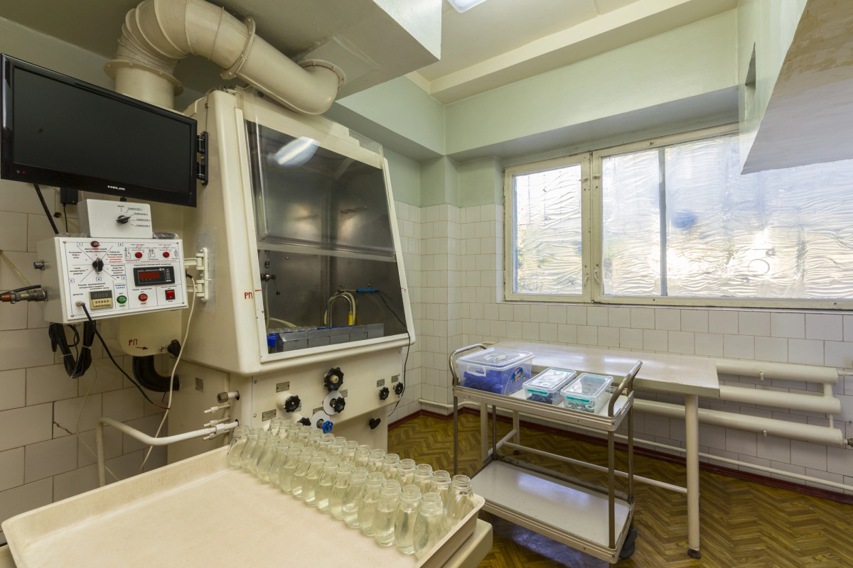 Viktorija (Essentuki)