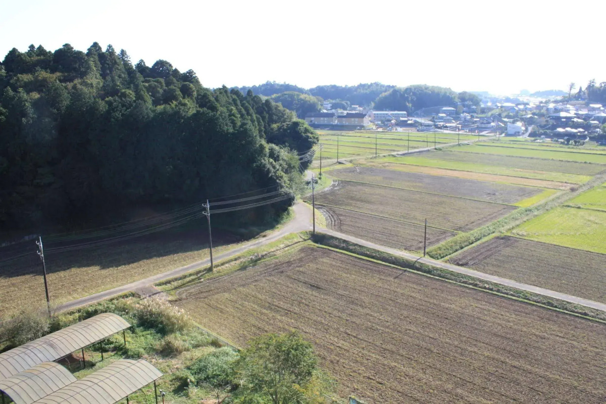 International Garden Hotel Narita