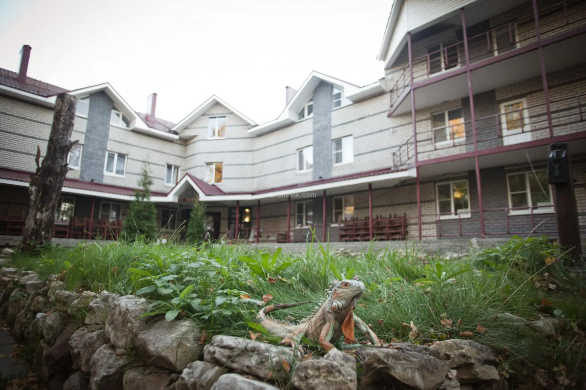 Деловой Клуб