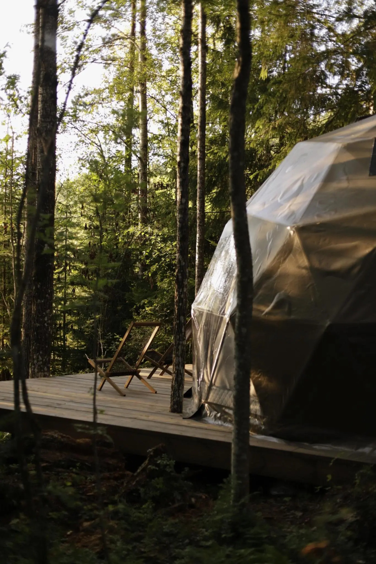 Вили Улей Карелия