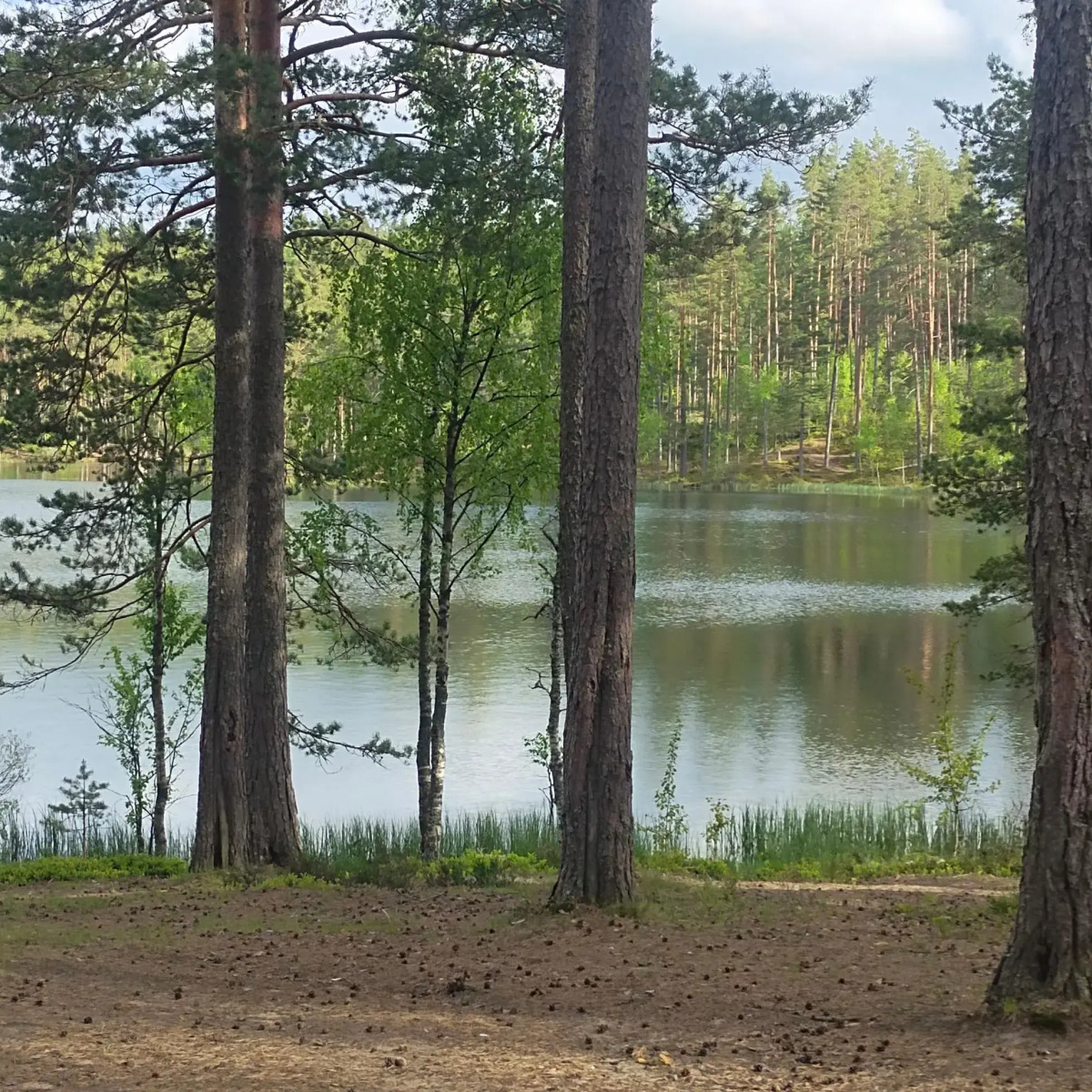 Уютный домик