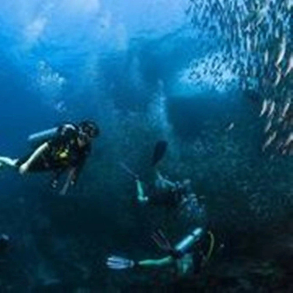 Koh Tao Coral Grand Resort