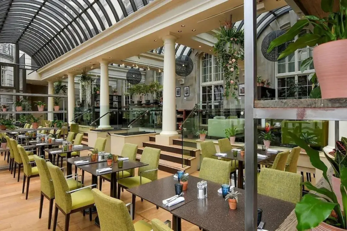 Отель The Dilly