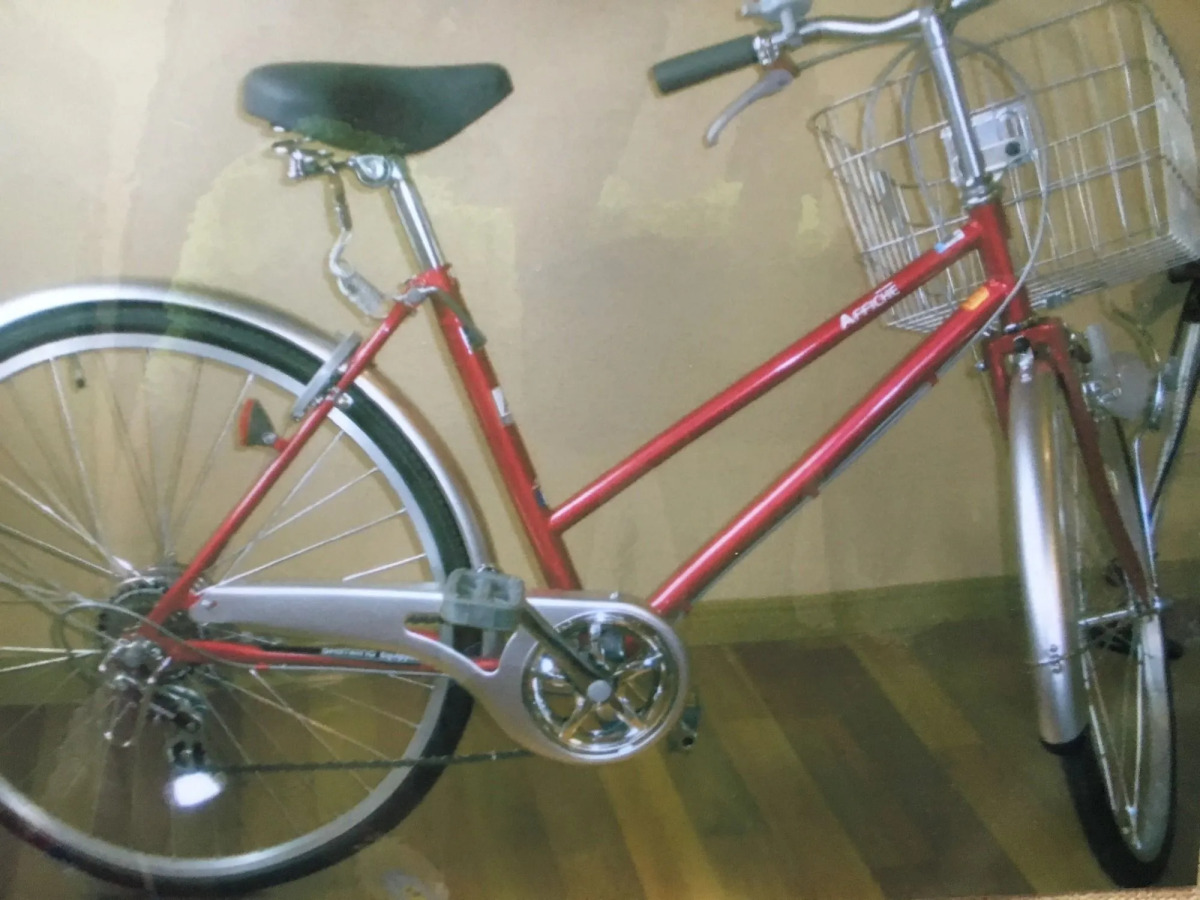 Mt Fuji Hostel Michael's