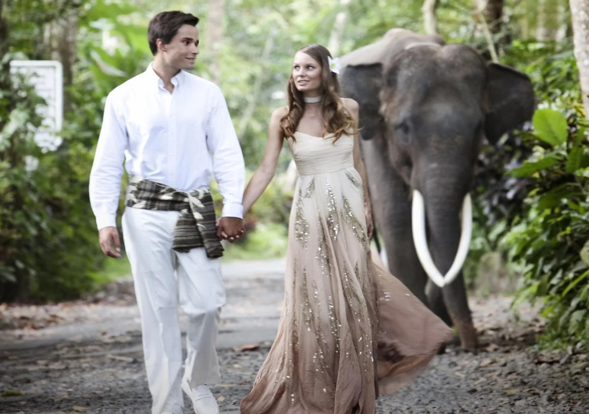 Mason Elephant Lodge