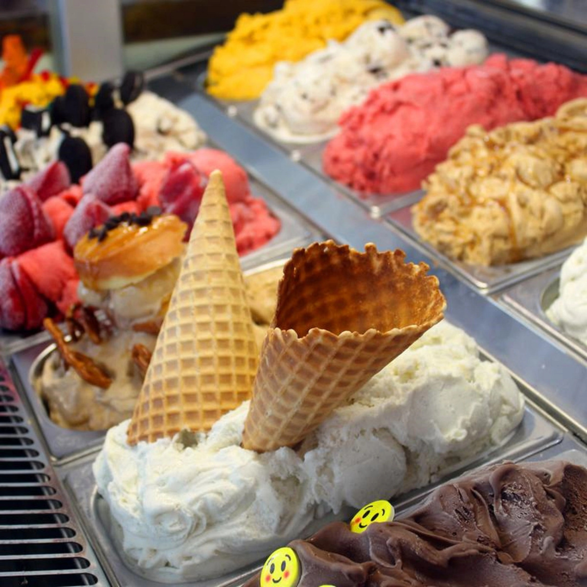 Casa Victoria Orchid