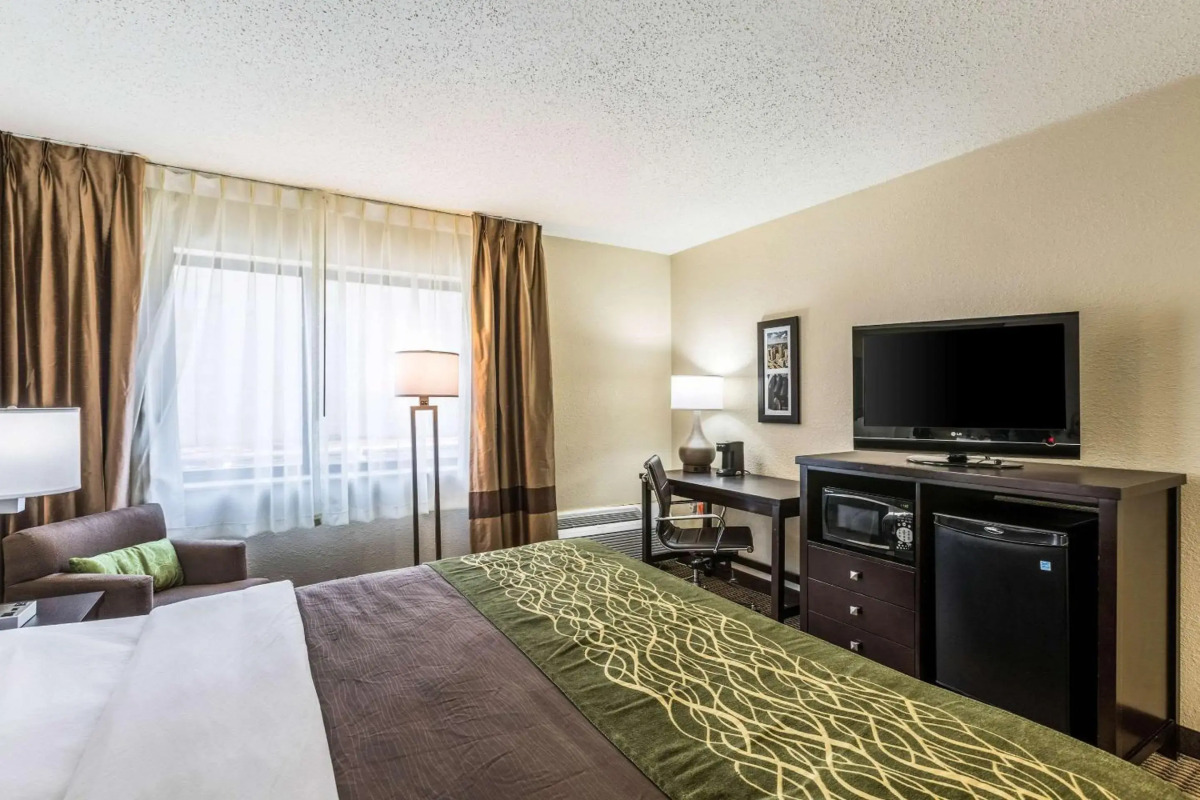 Comfort Inn Detroit Downtown