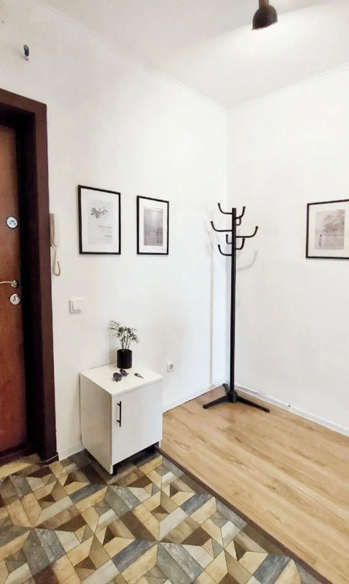 Солнечный эвкалипт на улице Крылова