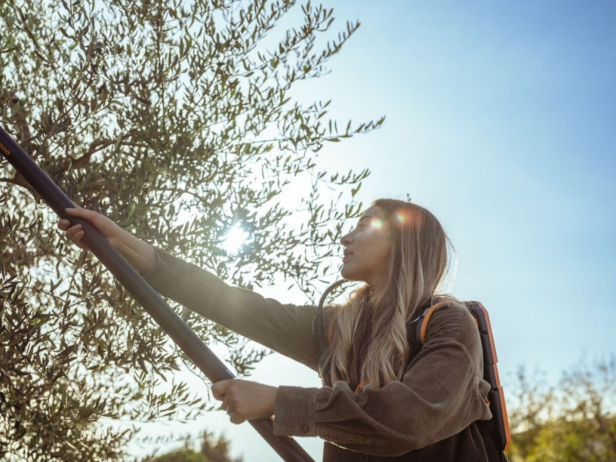Agriturismo Pompilia