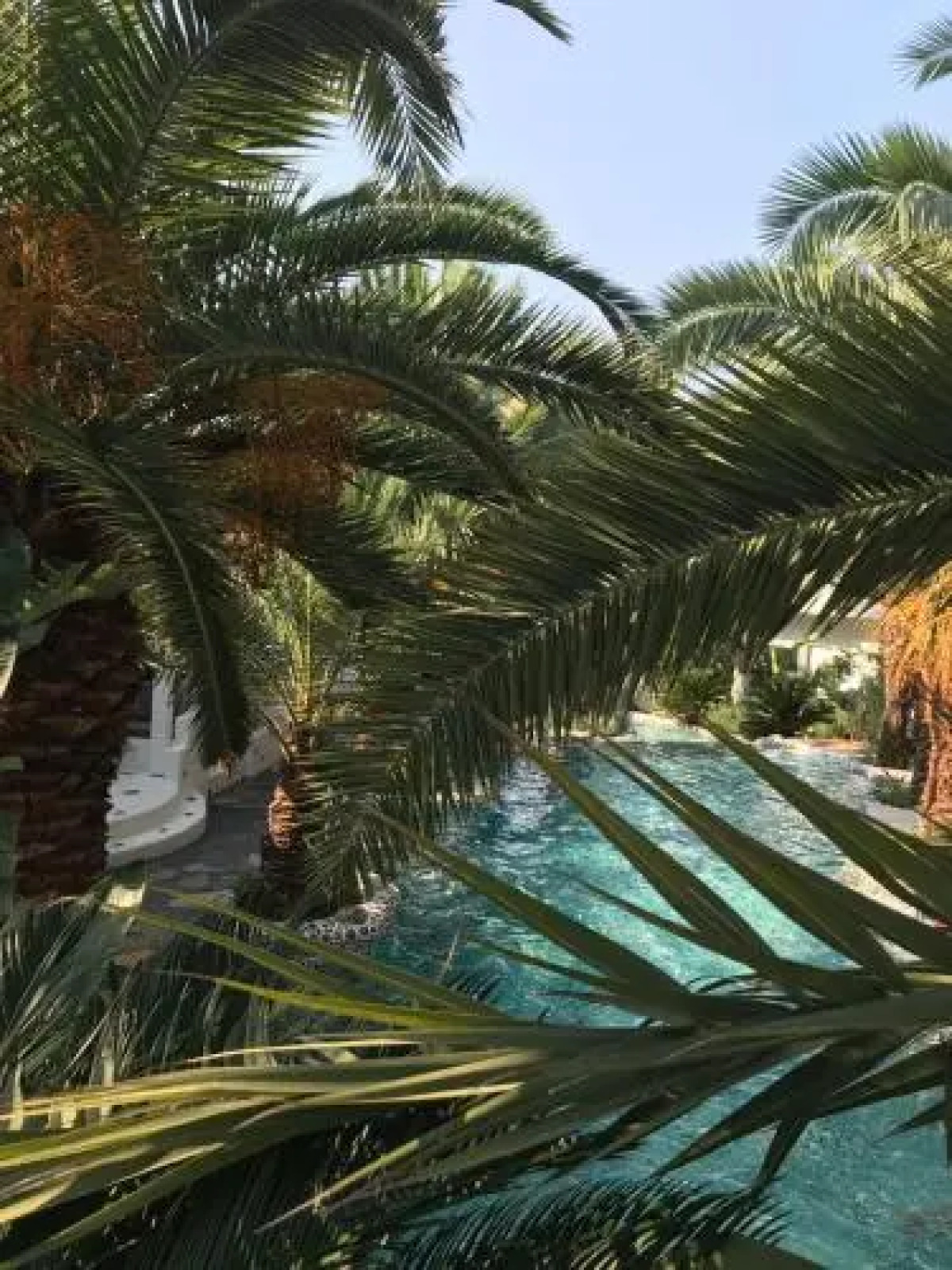 Flamingo Hotel & Spa - Pet Friendly