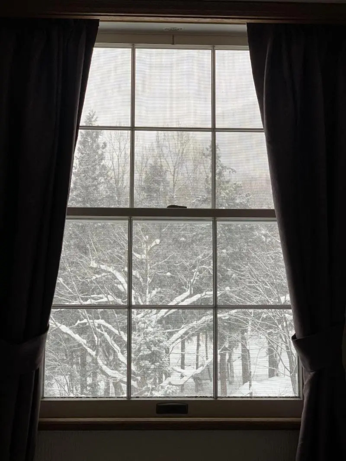 Wadano Forest Apartments