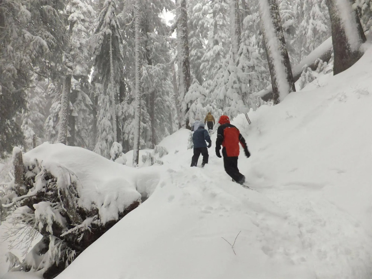 North Vancouver Hotel