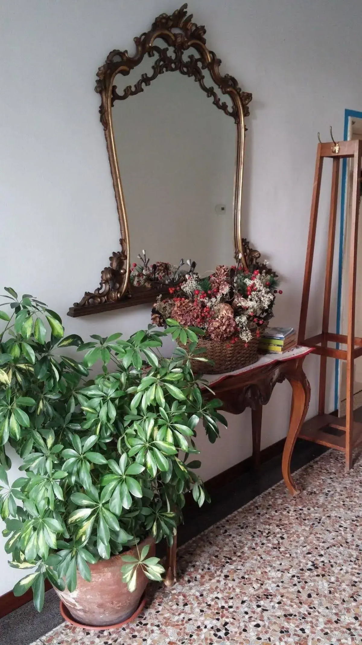 Venice Treviso Airport Bed